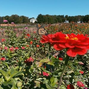 Meet your Posher, Abby
